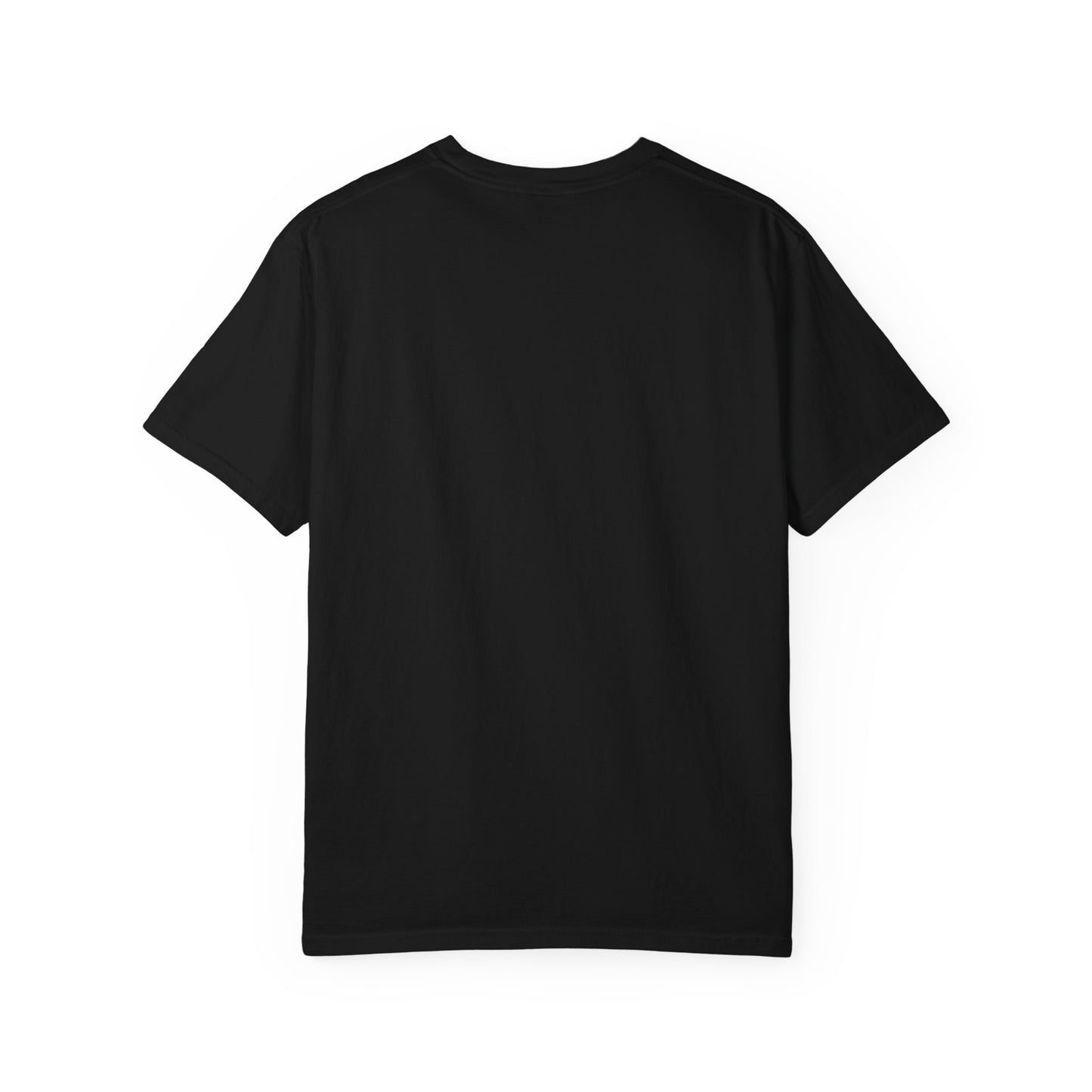Panthers Football Unisex Garment-Dyed T-shirt