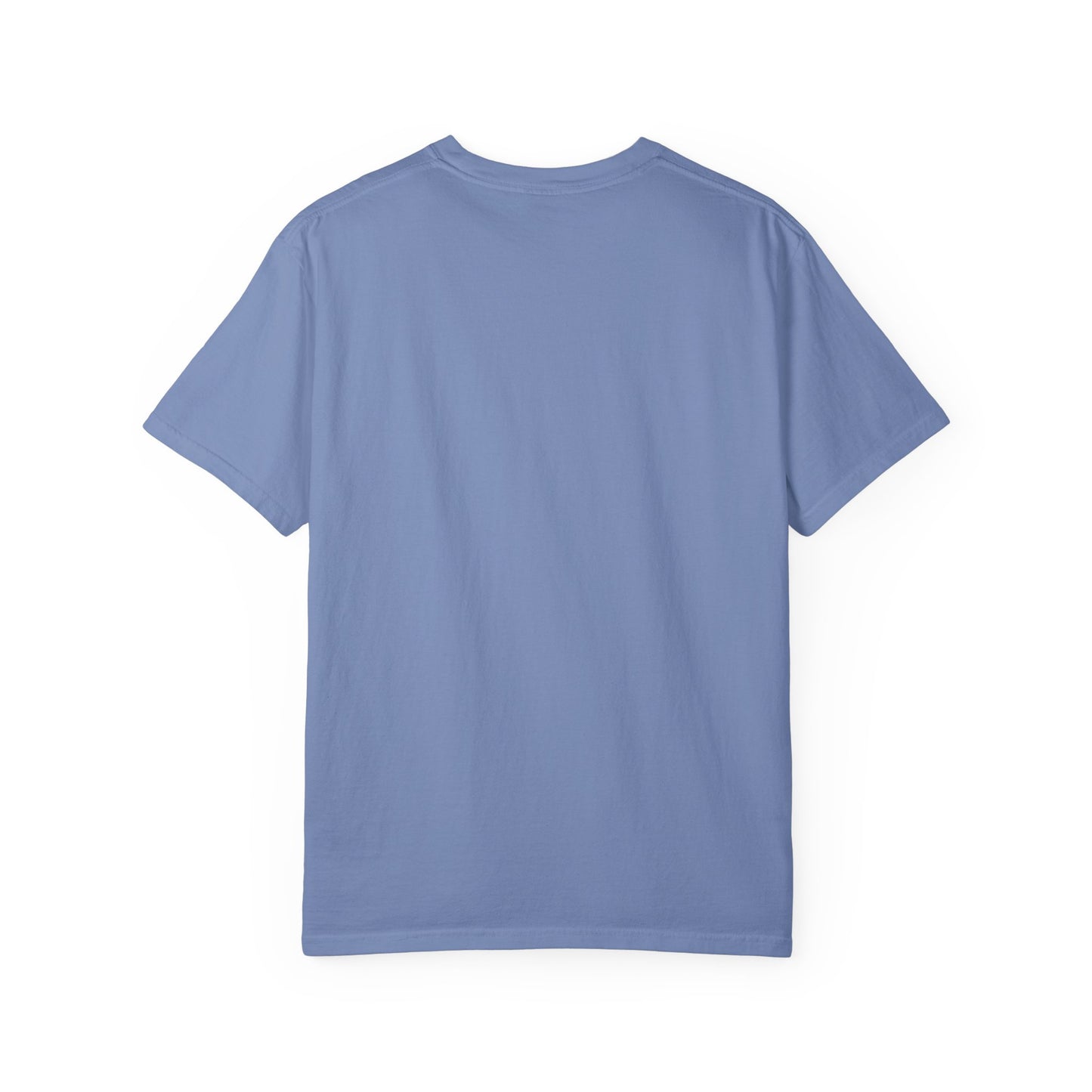 Panthers Football Unisex Garment-Dyed T-shirt
