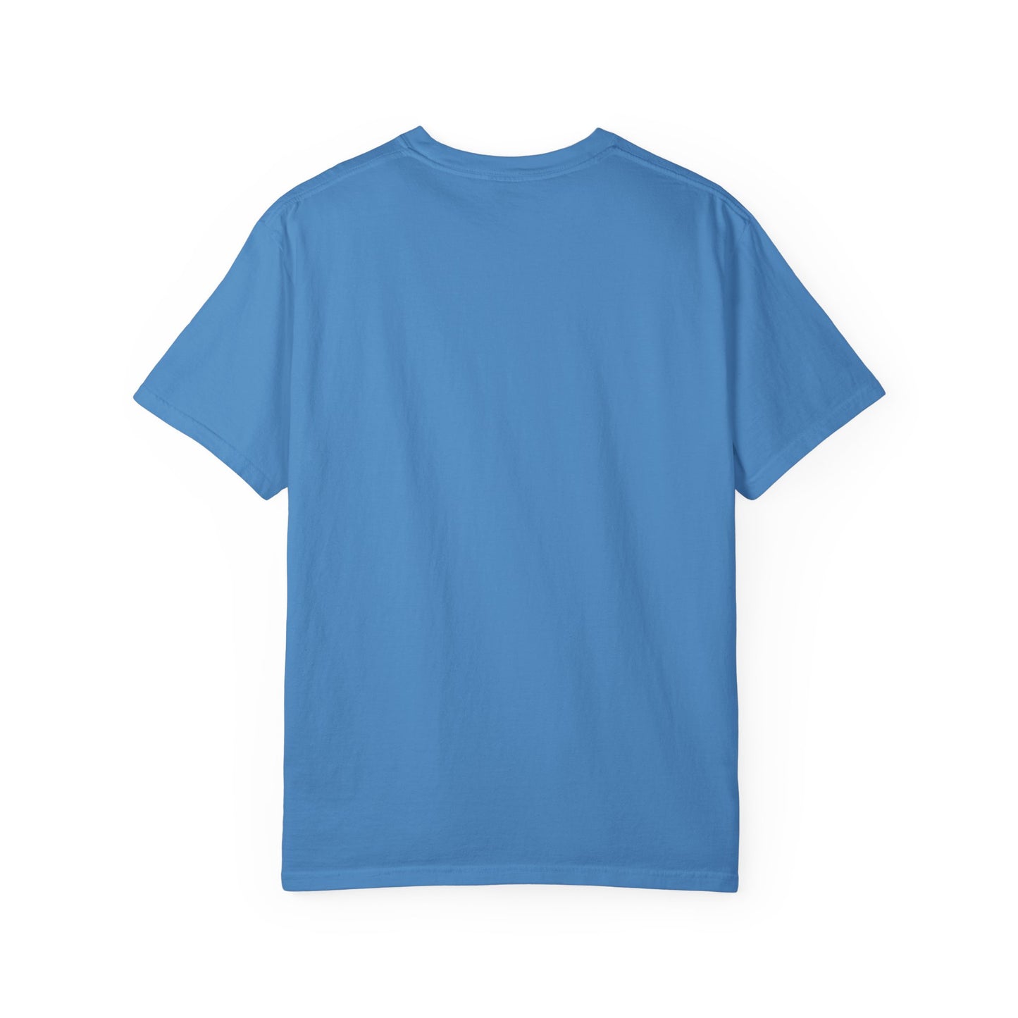 Panthers Unisex Garment-Dyed T-shirt, Casual Tee, Sports Apparel, Game Day Shirt, College Fan Gear, Comfortable Everyday Wear