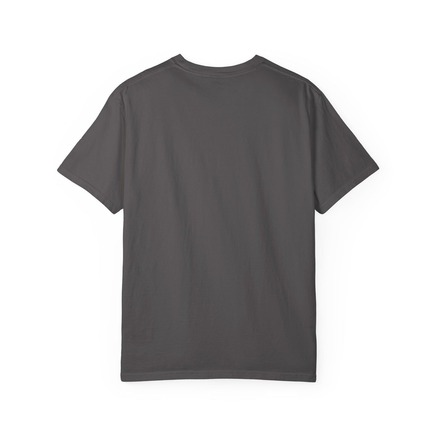 Panthers Football Unisex Garment-Dyed T-shirt