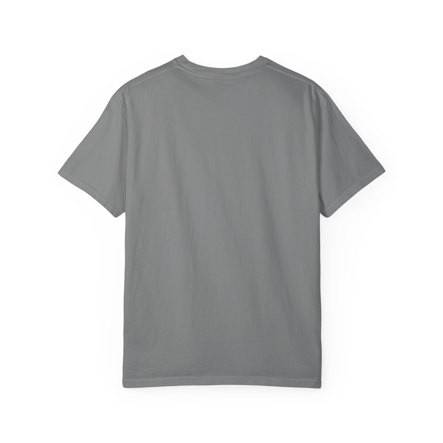 Panthers Football Unisex Garment-Dyed T-shirt