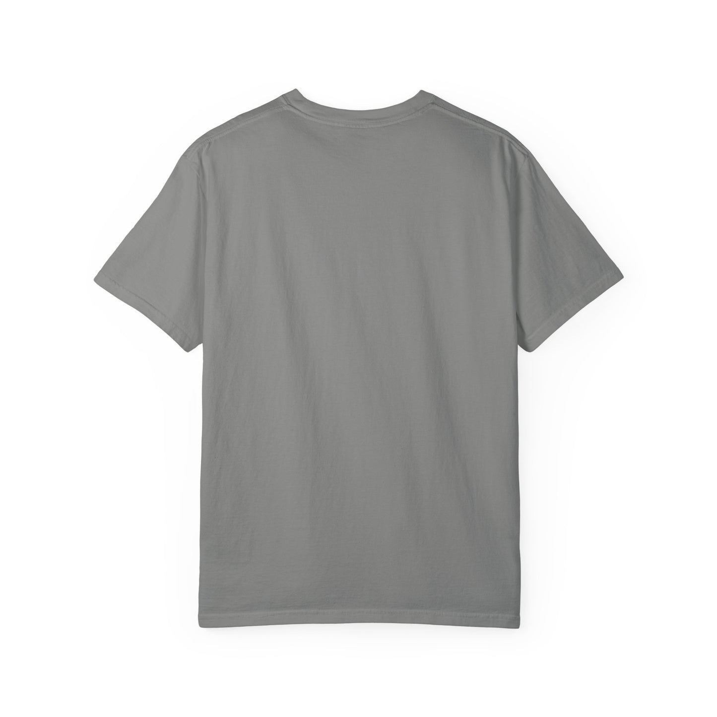 Panthers Football Unisex Garment-Dyed T-shirt