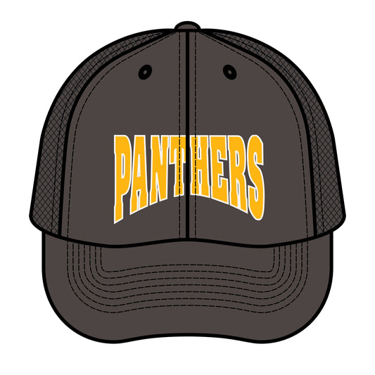 Panthers Retro Trucker Hat with Panthers Design, Vintage Baseball Cap, Sports Fan Gift, Outdoor Gear, Personalized Headwear, Unisex Truckers
