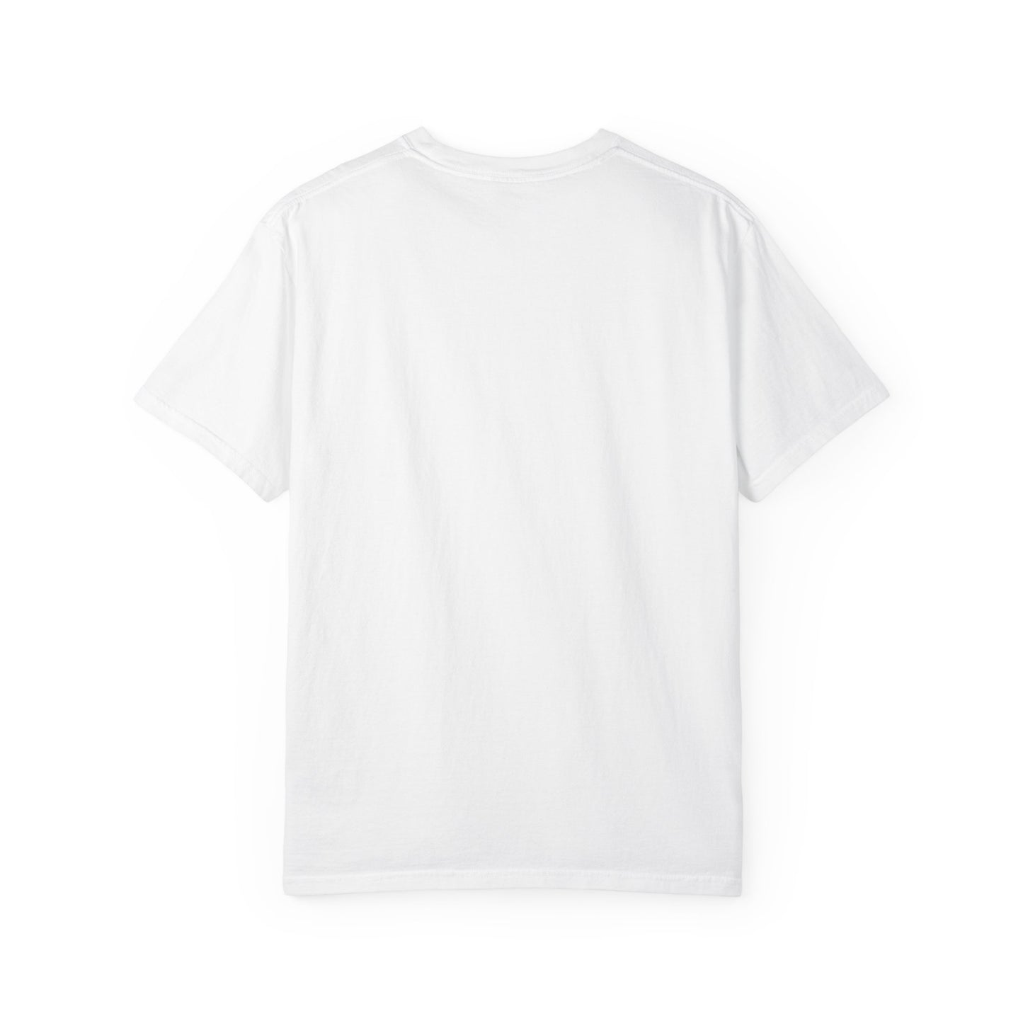 Panthers Football Tee — Comfort Colors Tee