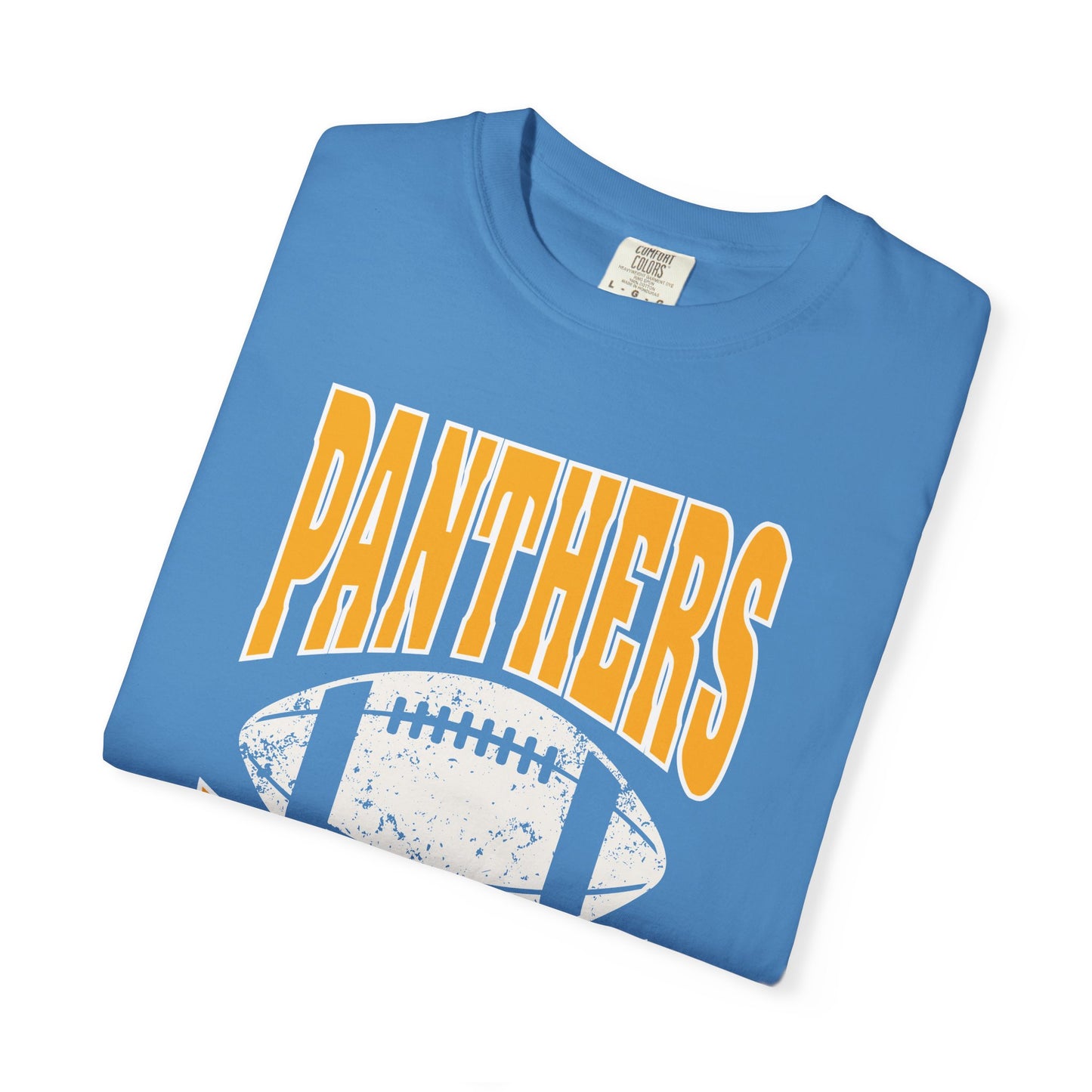 Panthers Football Vintage Tee — Retro Team Spirit T-Shirt